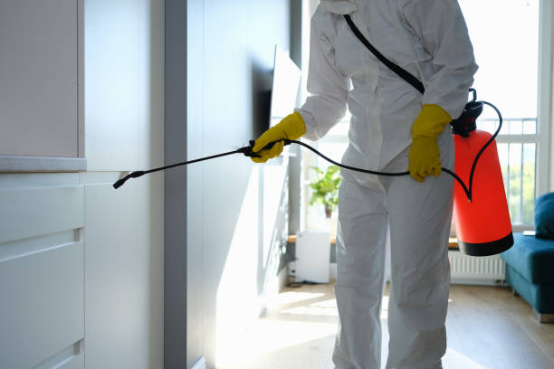 Best Residential Mold Removal  in Philippi, WV