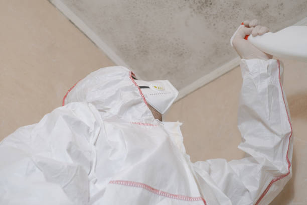 Best Toxic Mold Removal  in Philippi, WV
